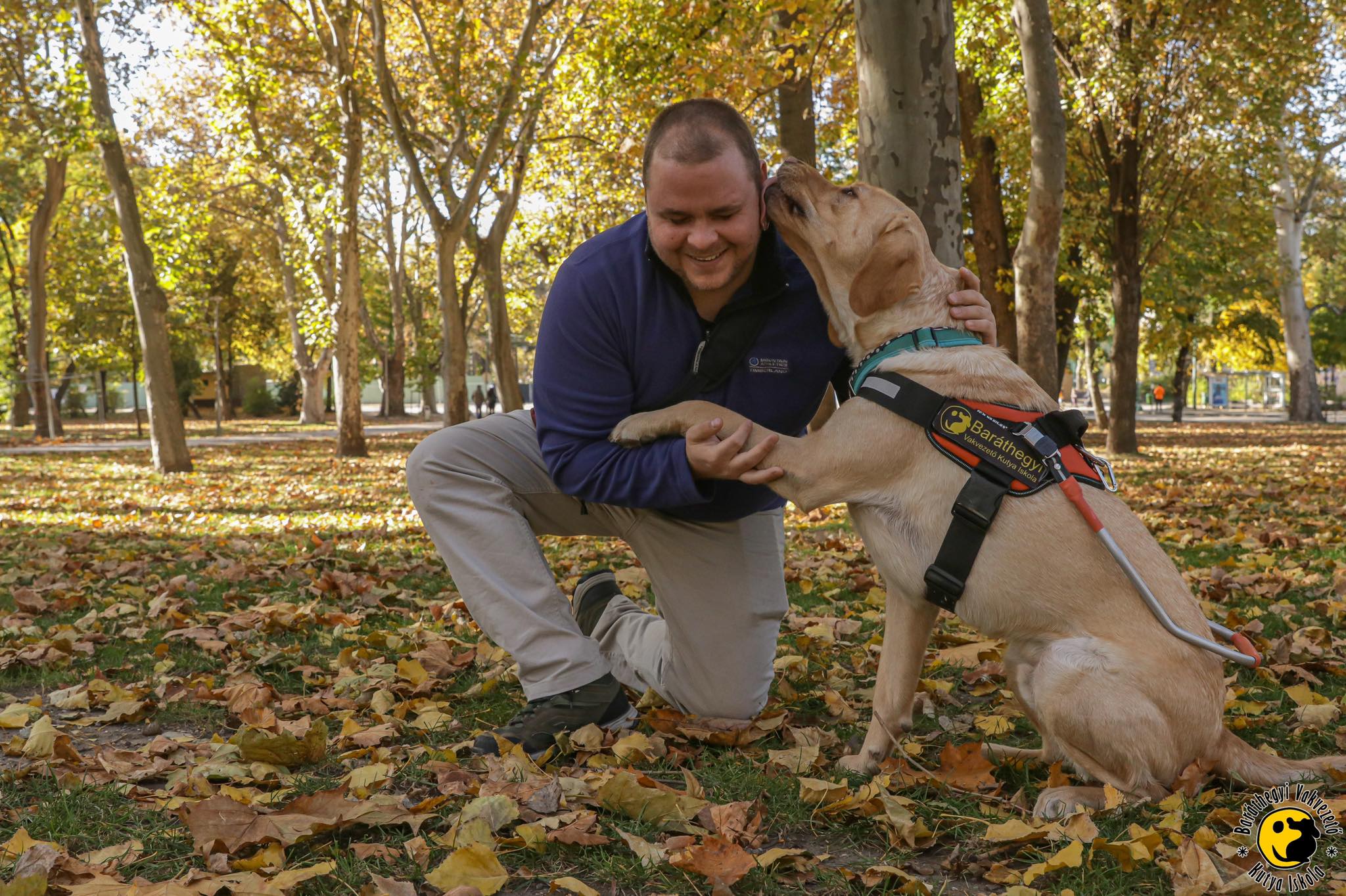 Egy informatikusnak csak Pixel nevű kutyája lehet
