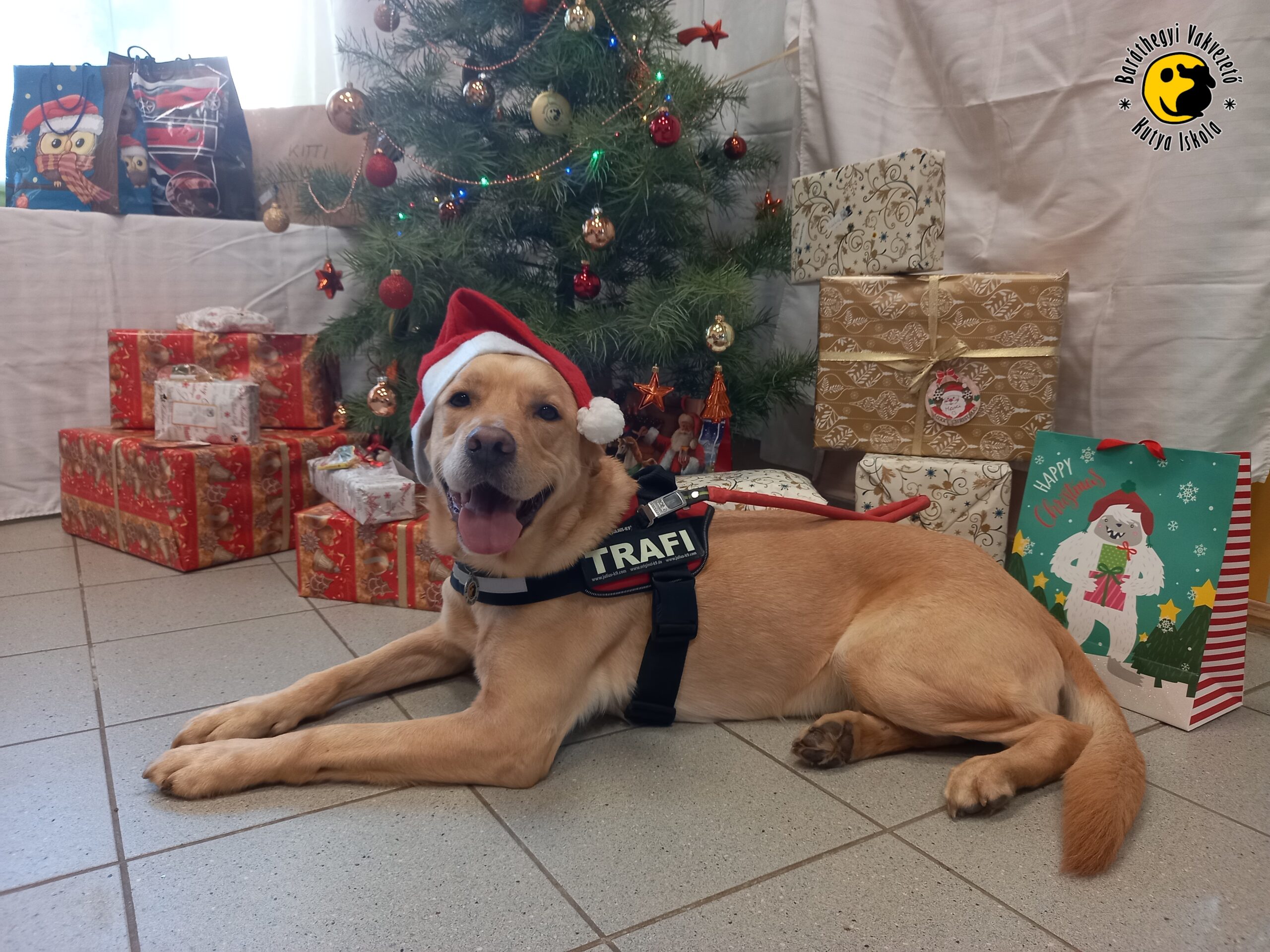 Karácsonyi Angyalkákat hívtunk rászoruló gyerekekhez