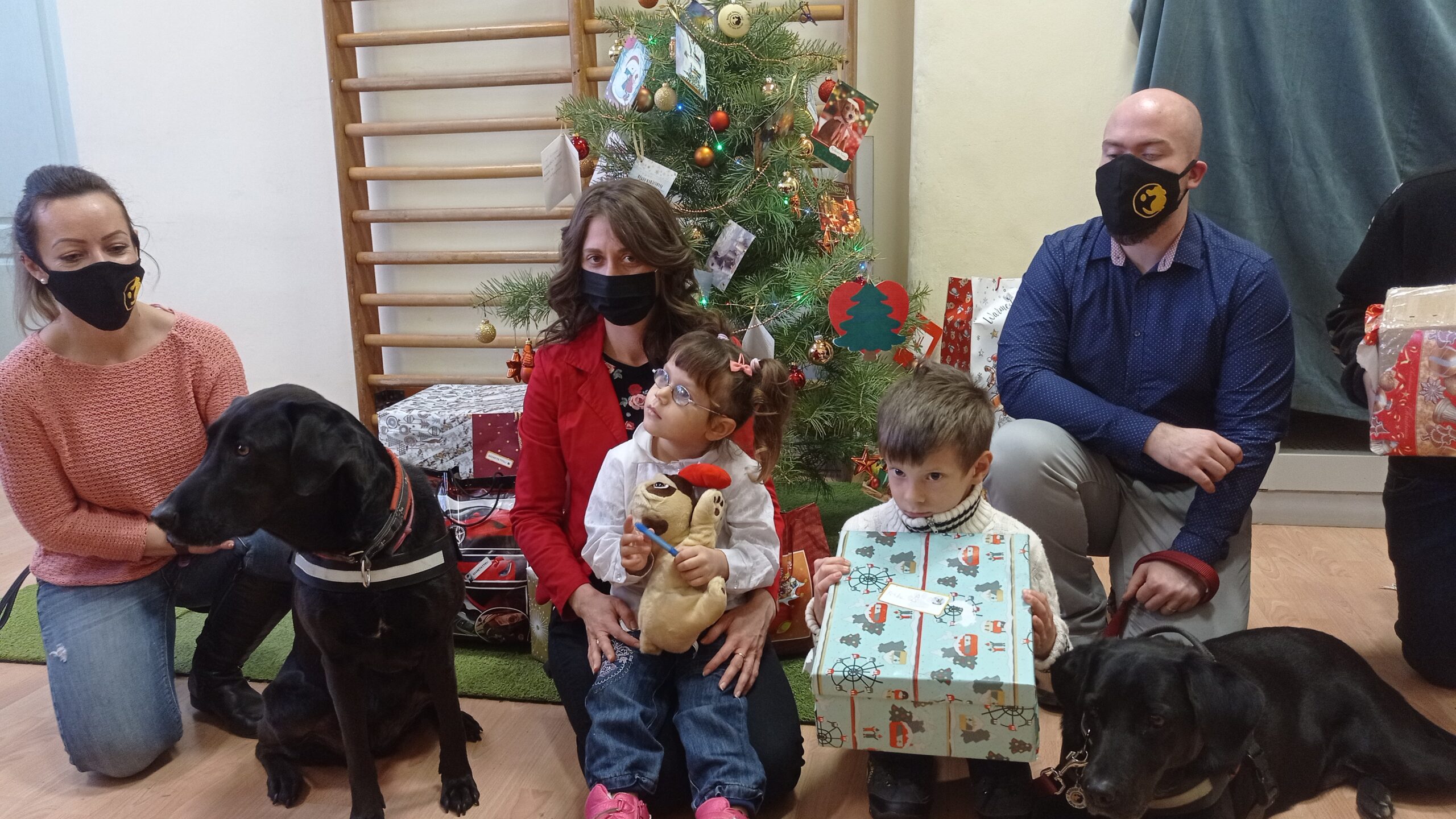 Ezeket az ajándékokat vakvezető kutyáink gyűjtötték össze