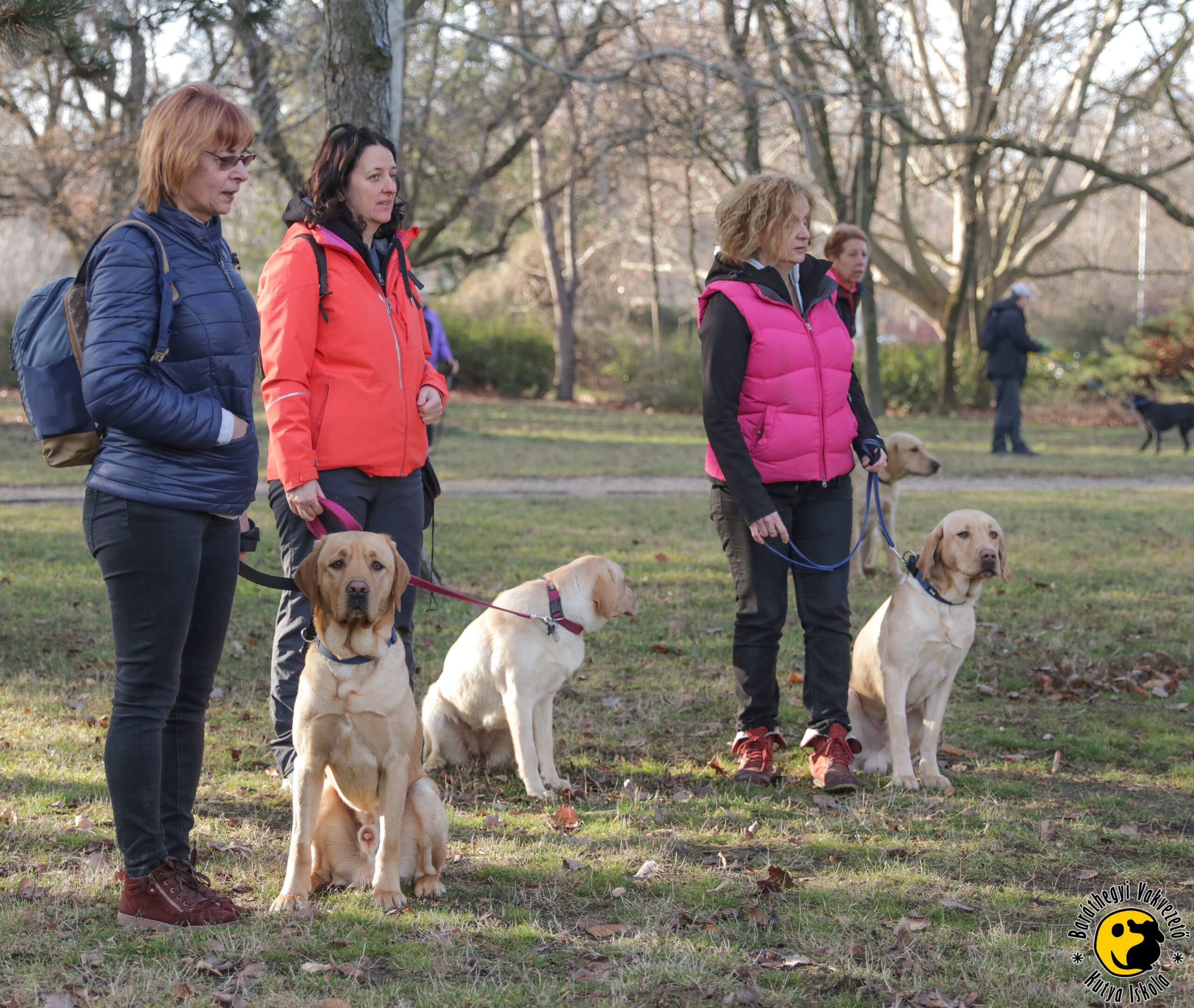 Szépen haladnak leendő vakvezető kutyáink