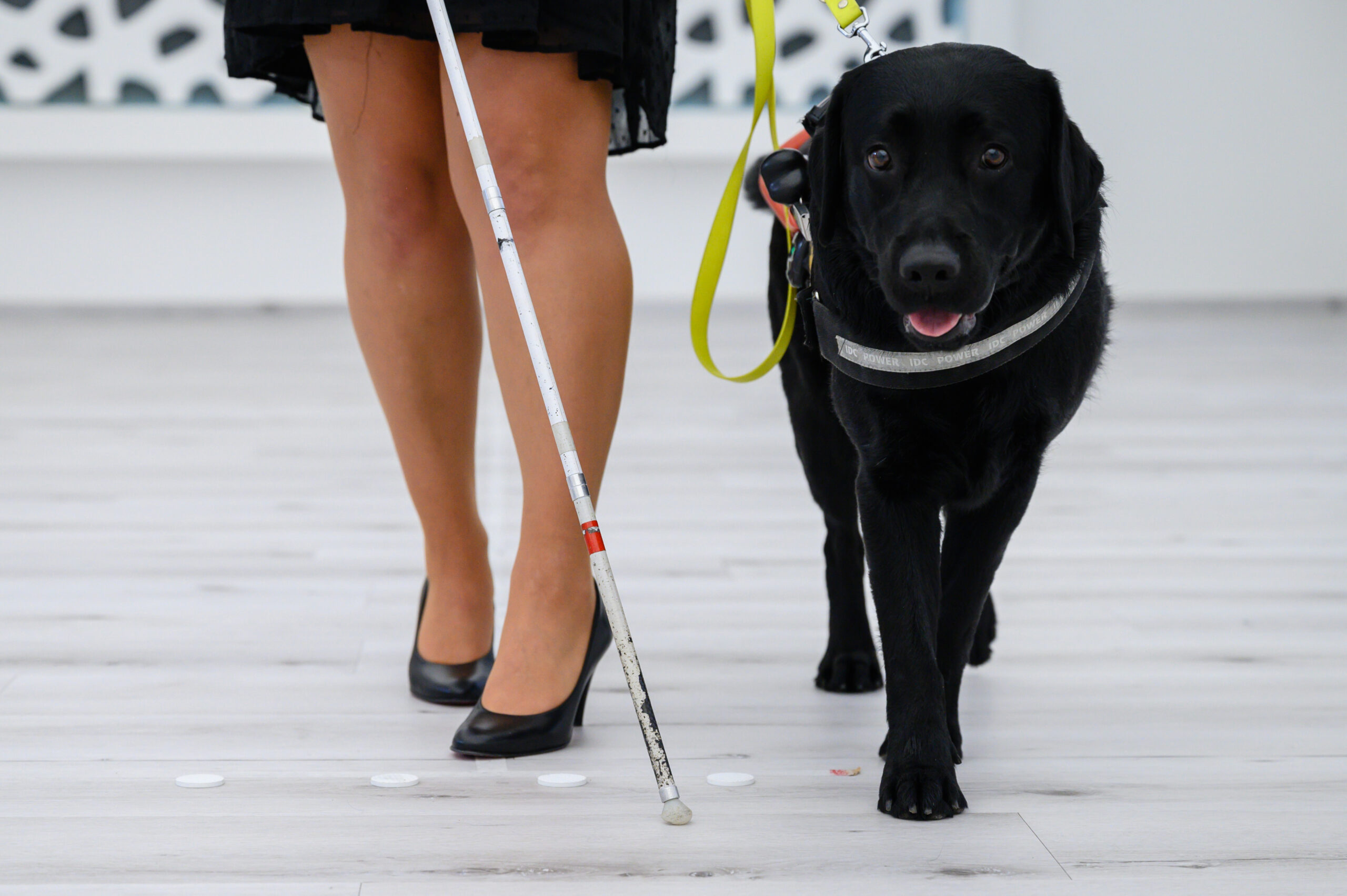 Valentin-napi különleges divatshow