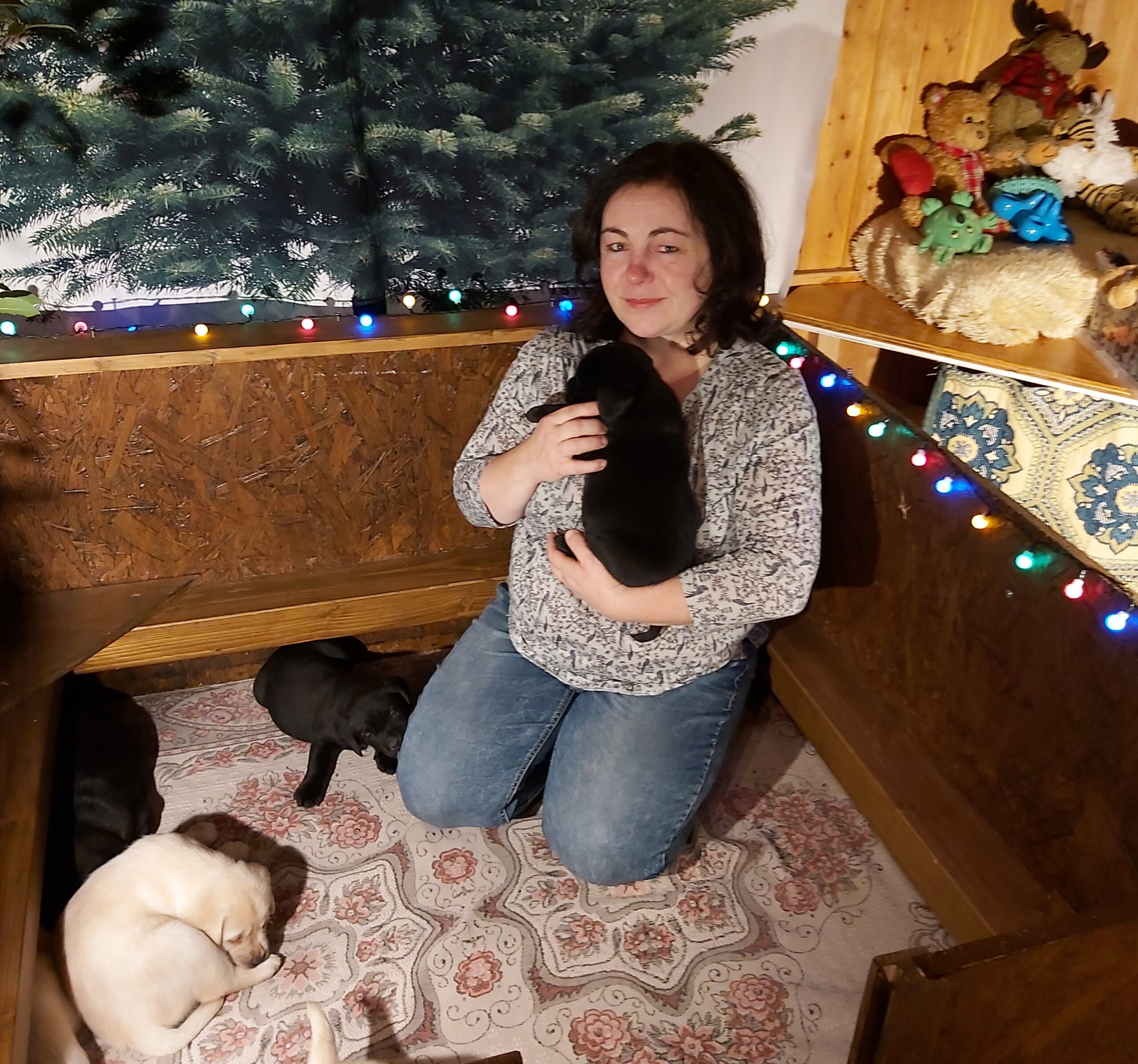 Önző önkéntesség