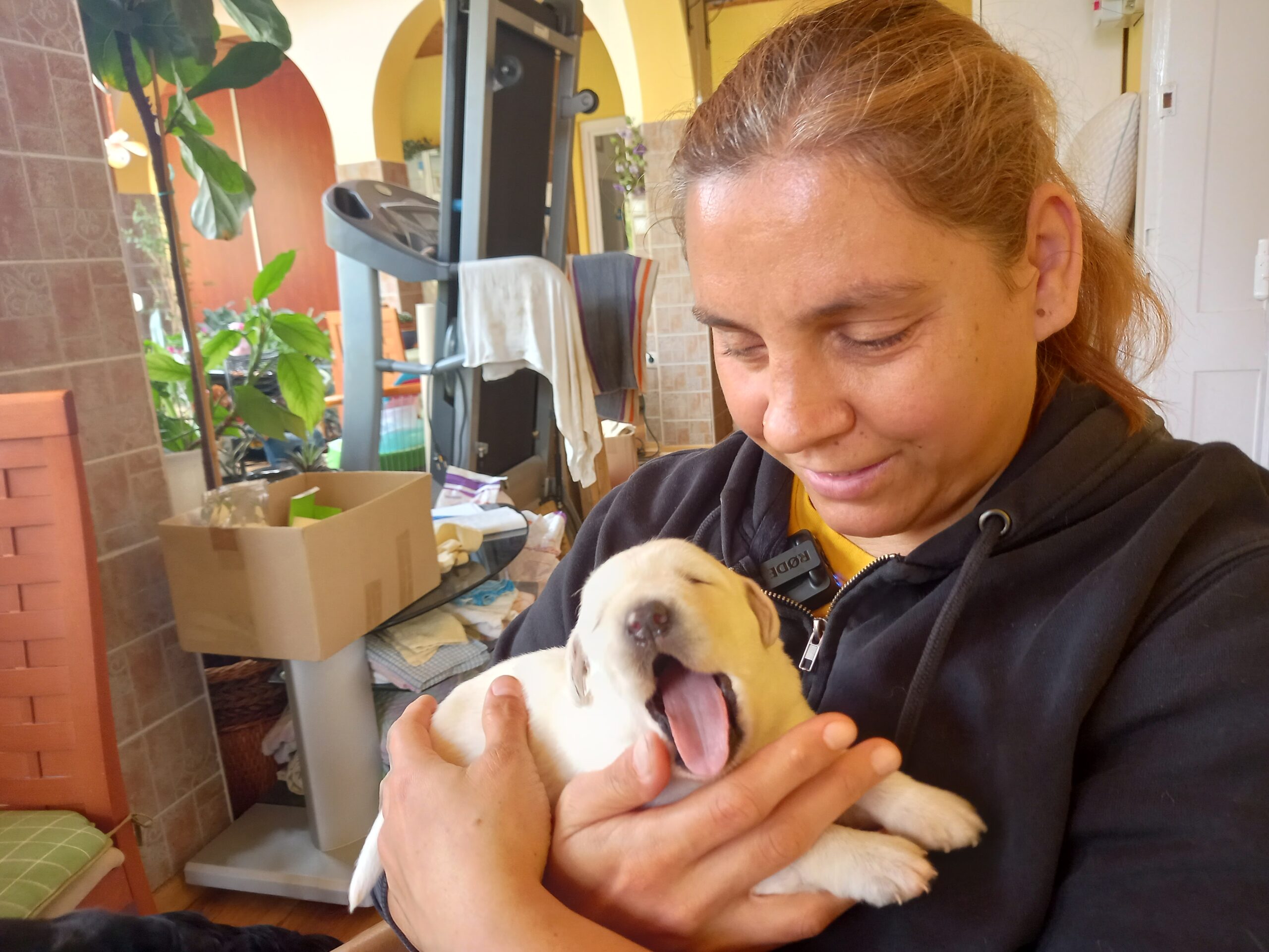 Világnapi látogatás a kéthetes kölyköknél