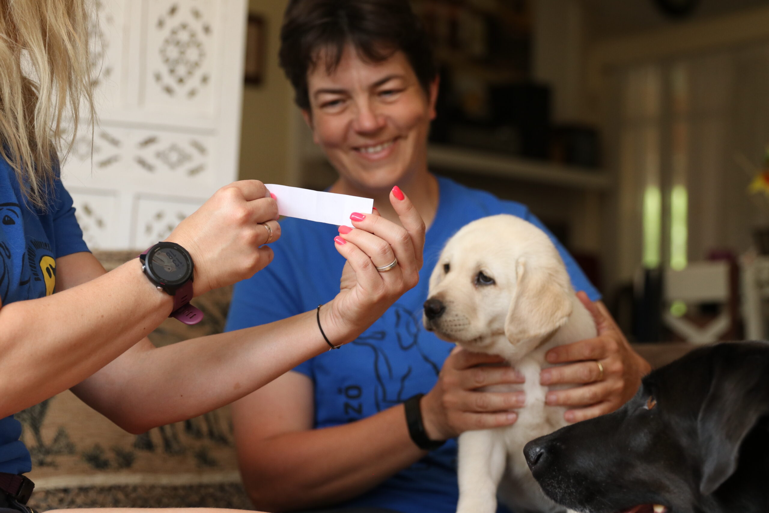 Névadót tartottunk a vakvezető kölyköknek