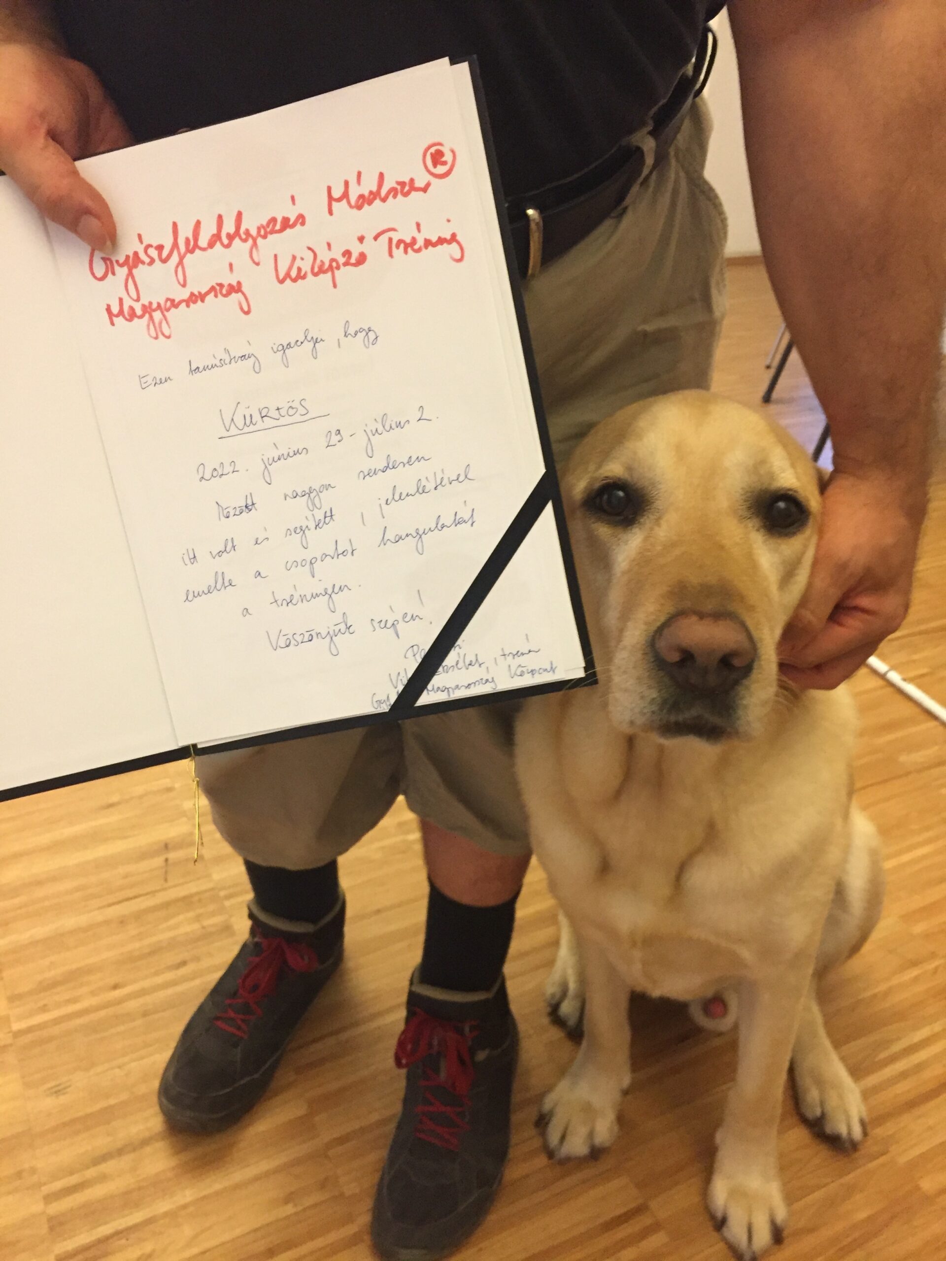 Örömünk a gyászban – József és vakvezető kutyája érzelmes kalandja