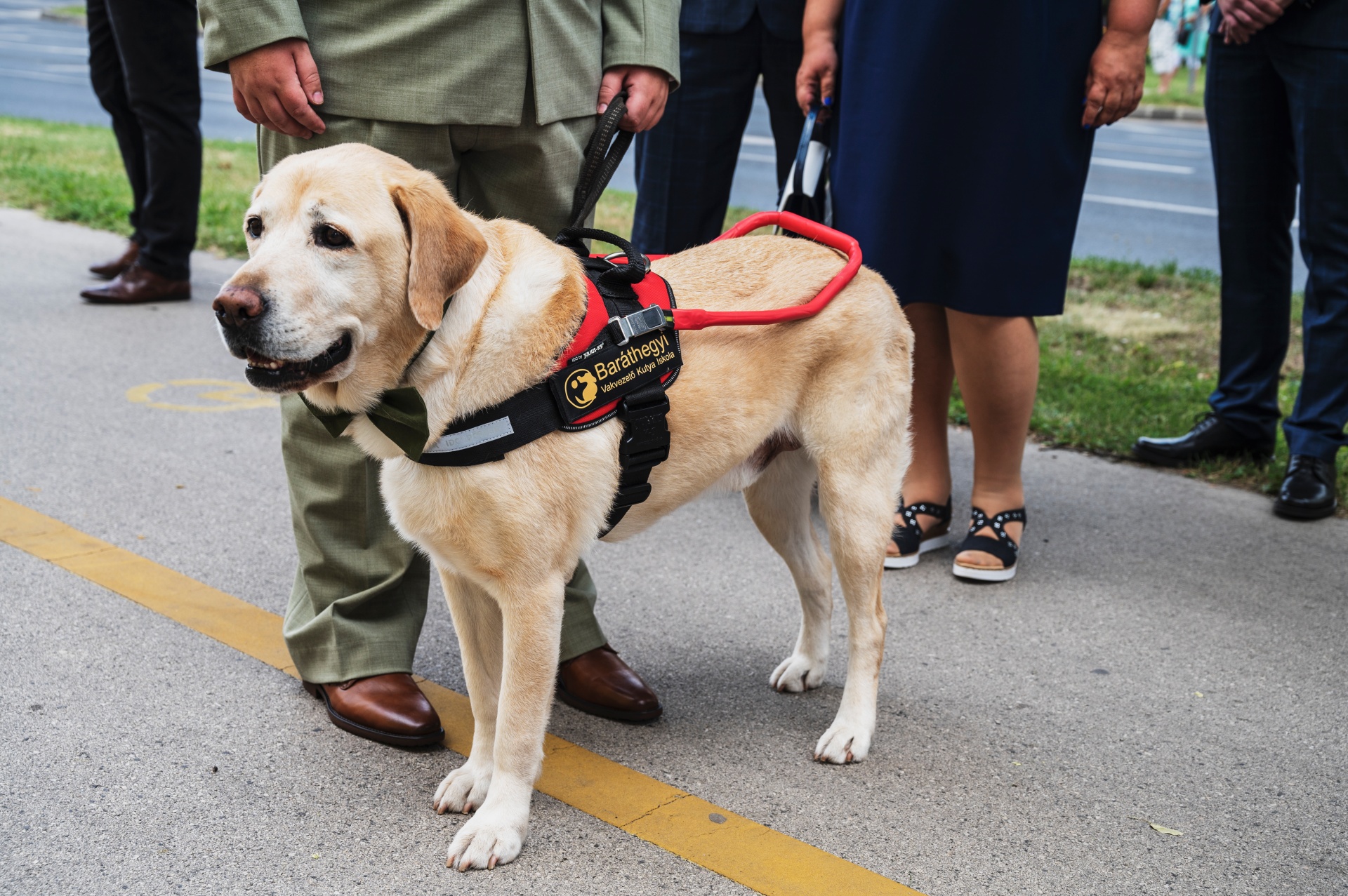Milán és Nelson esküvői tanúnak is kiváló
