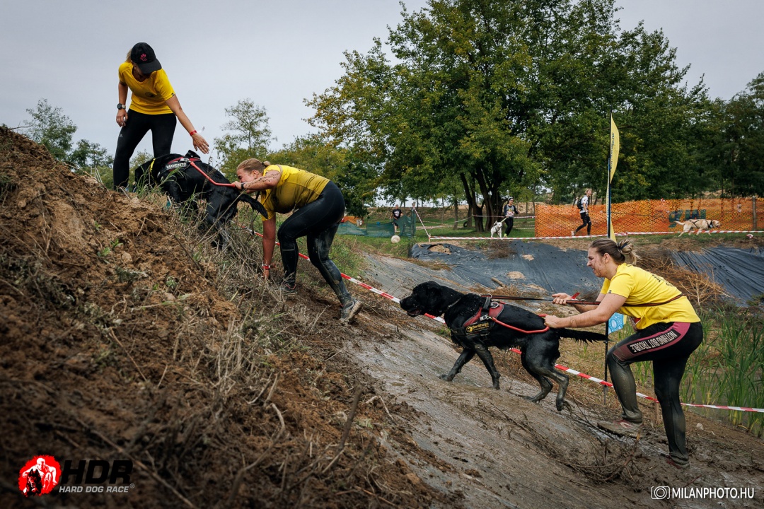 Vakvezető kutyákkal indultunk a Hard Dog Race versenyen