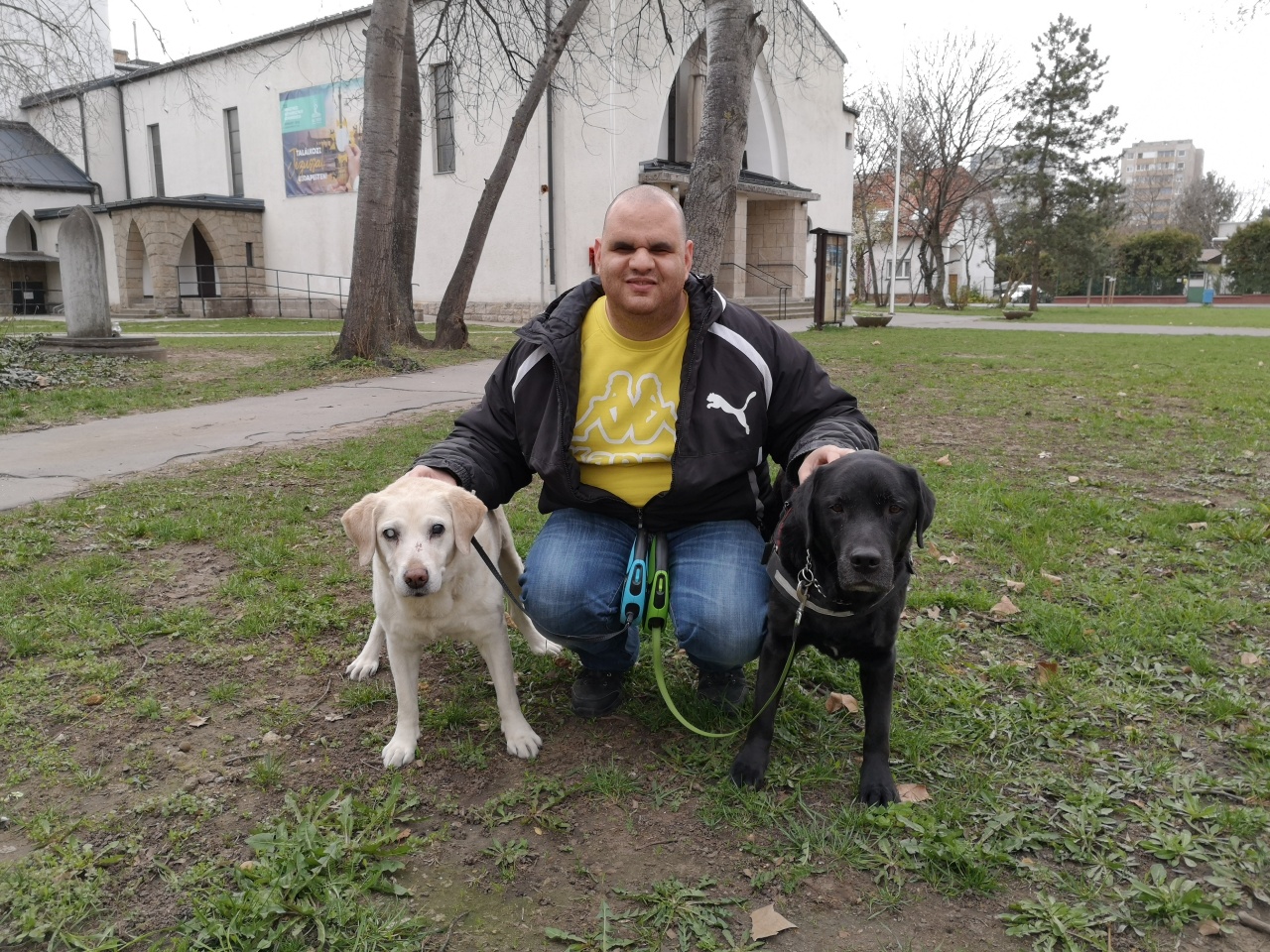 A 10 éves Texet köszöntjük