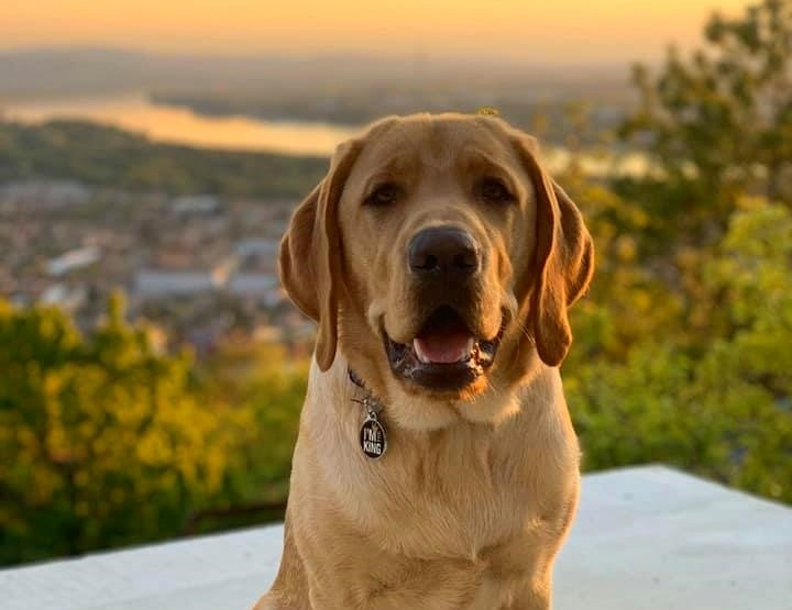 Four exams were successfully passed in September