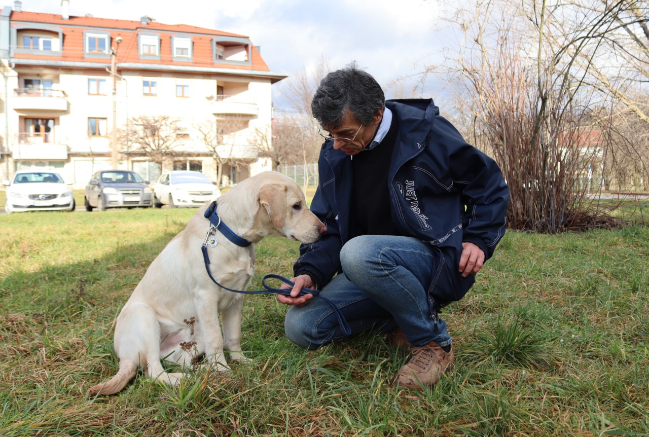 Ezért lesz a kölyökkutyából cserediák