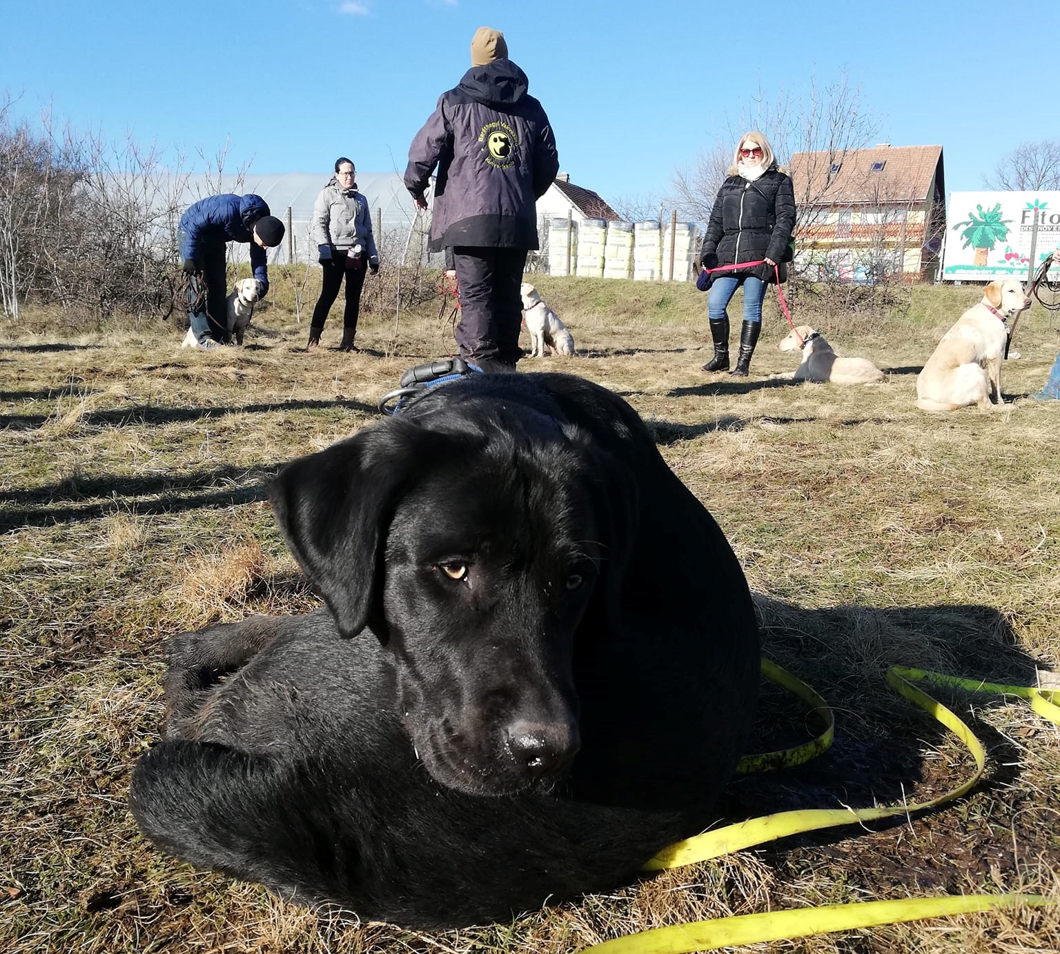A behívást gyakoroltuk a kölykökkel