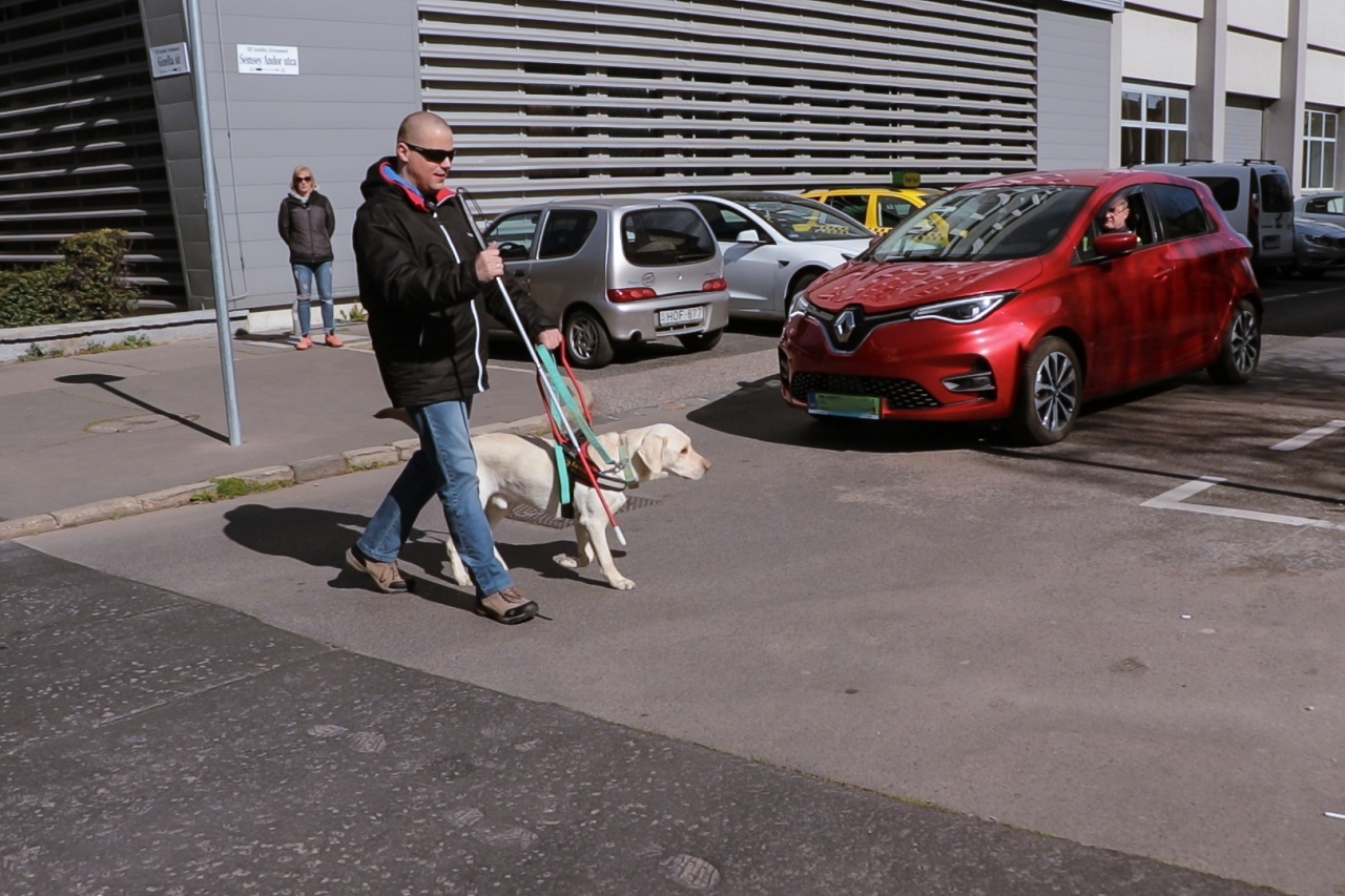 Fogjanak össze az autósok és a vakvezető kutyák!