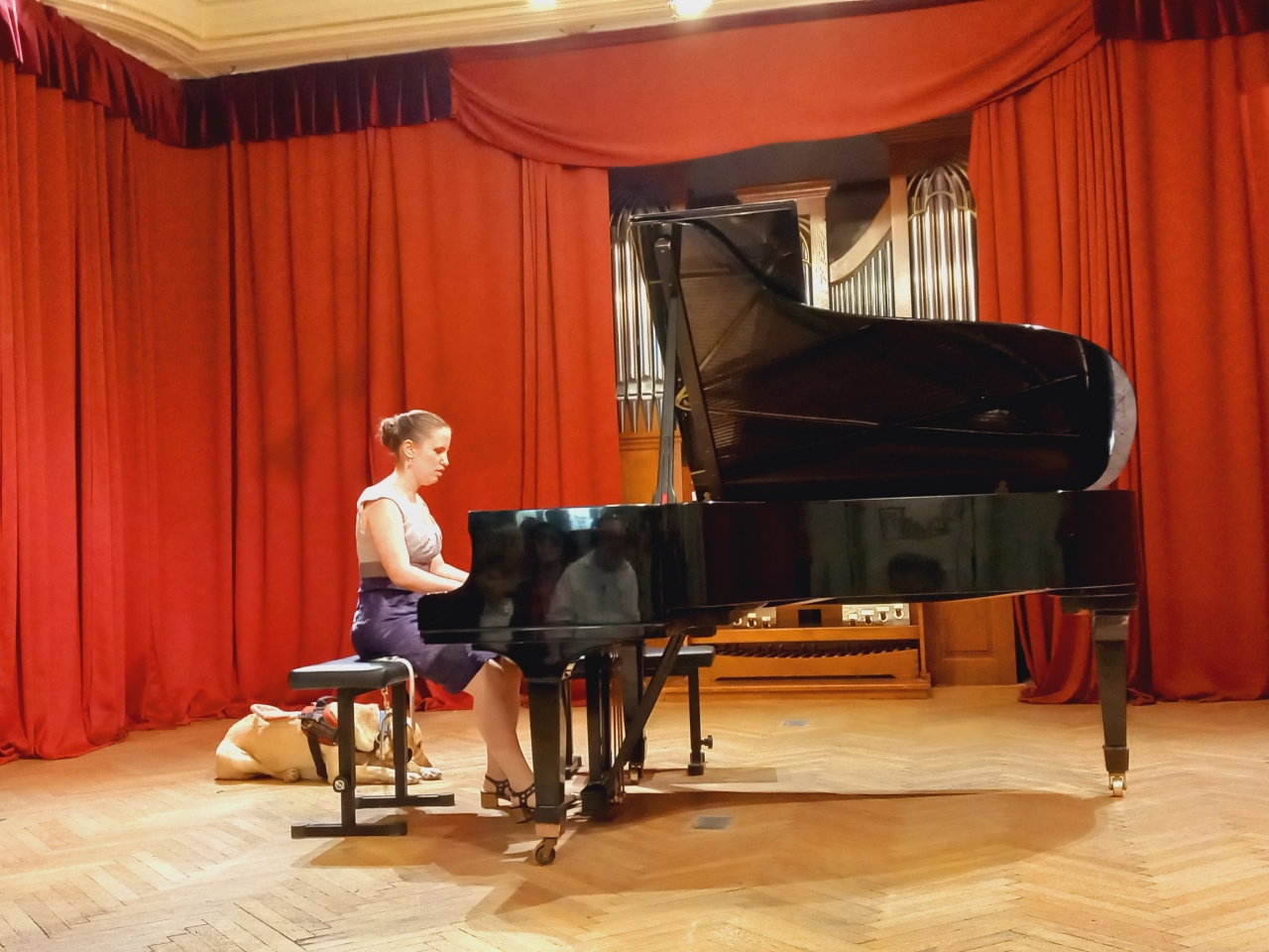 Jótékonysági koncert a vakvezető kutyákért