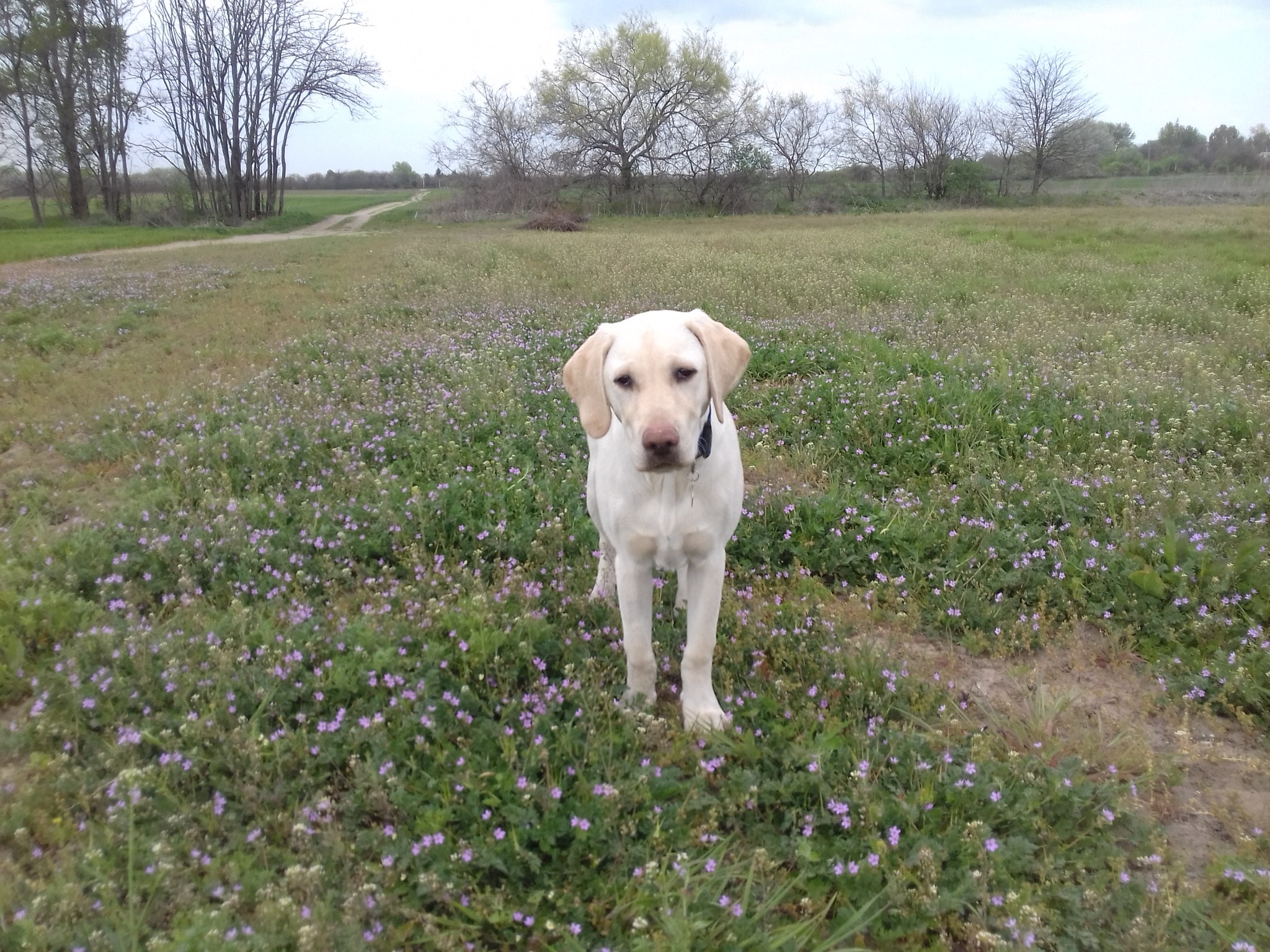 „Amióta velem van, minden a helyére került”