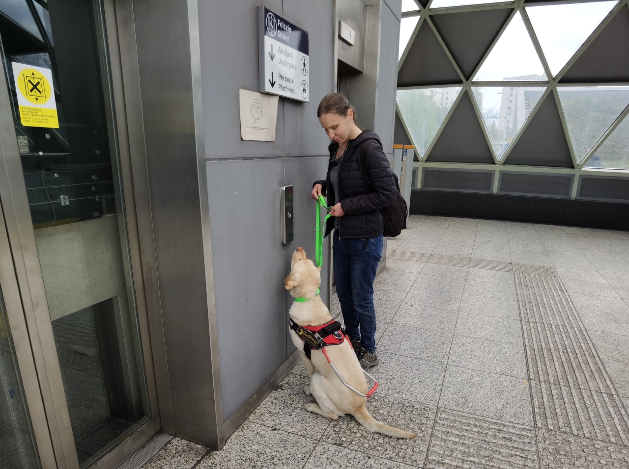 Sikeres közlekedésbiztonsági vizsgát tett Nóra és Torma!