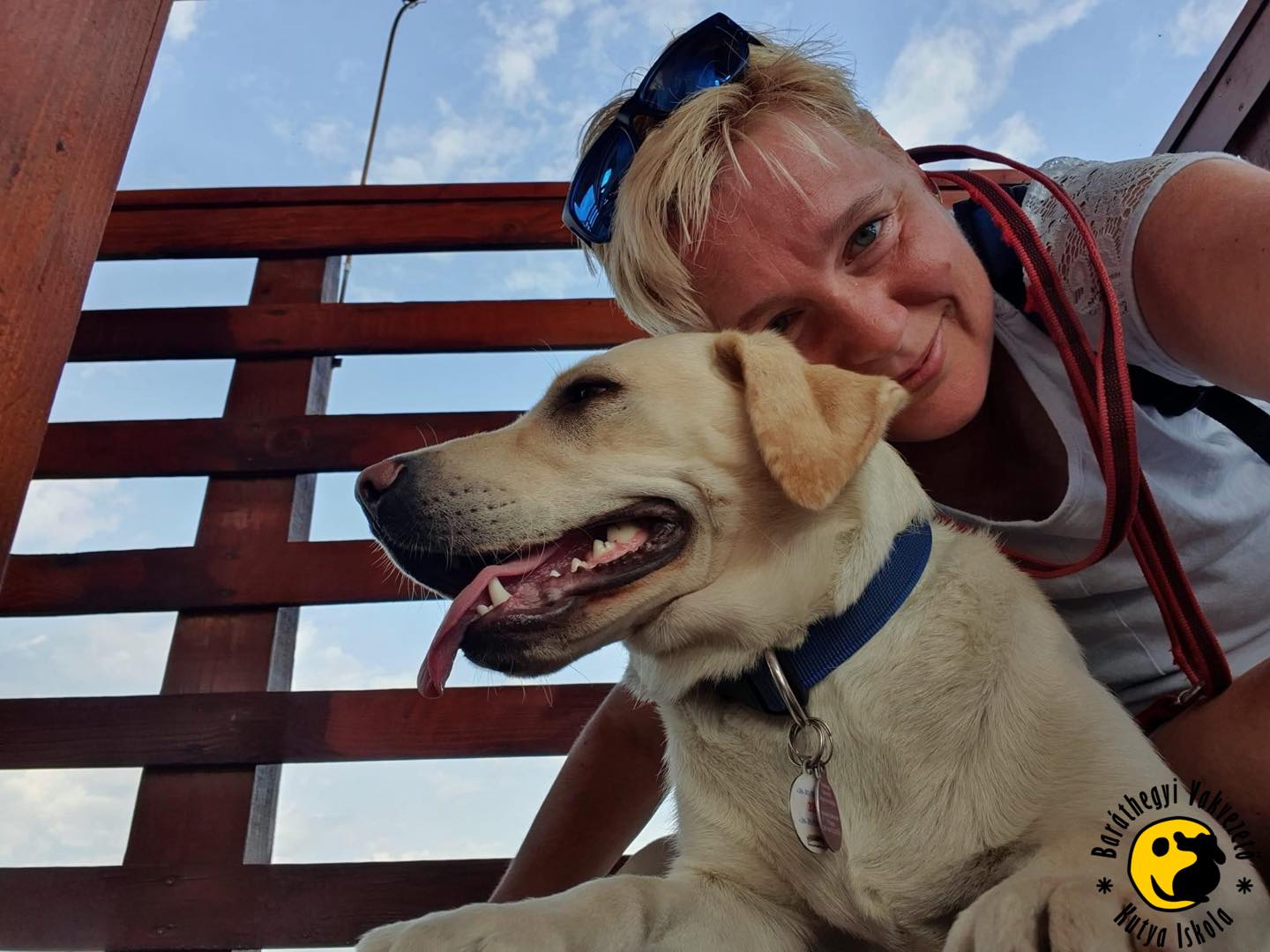 Kölyöknevelők jelentkezését várjuk