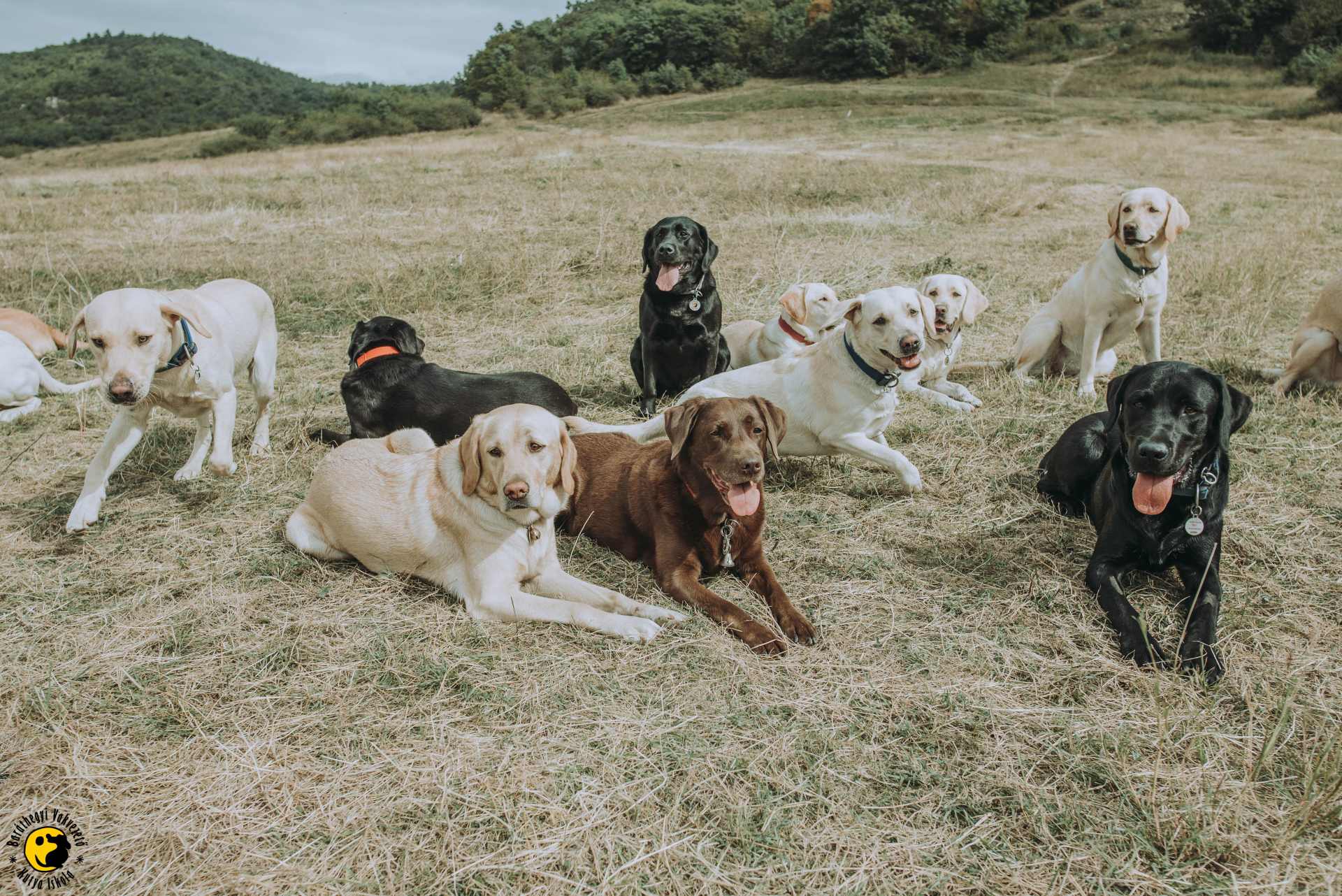 Év végi böngészés