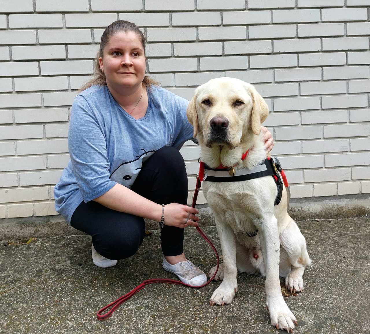 Járógipsz, buszos sztrájk, eltűnt chip – pár ártalmatlan akadály