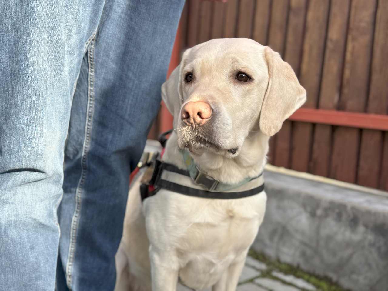 Látássérültek költöznek támogatott lakásokba Miskolcon