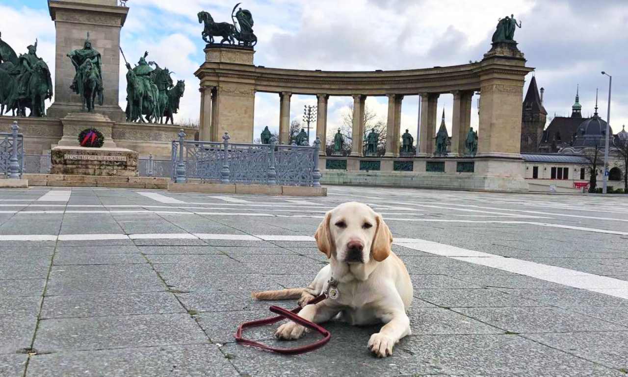 Deka cserediák lett