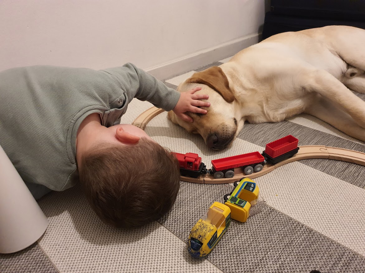 Citrom a nagyvárosban