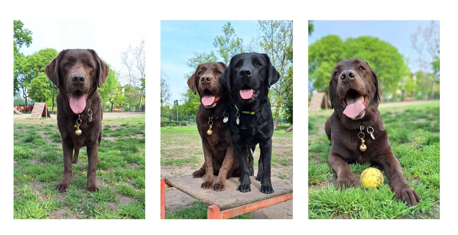 Ránéztünk Gandhira