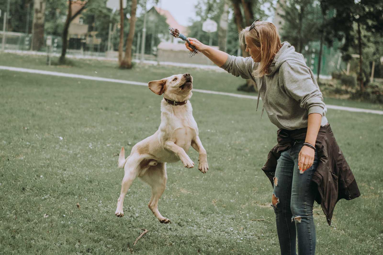 Játék a kiképzővel