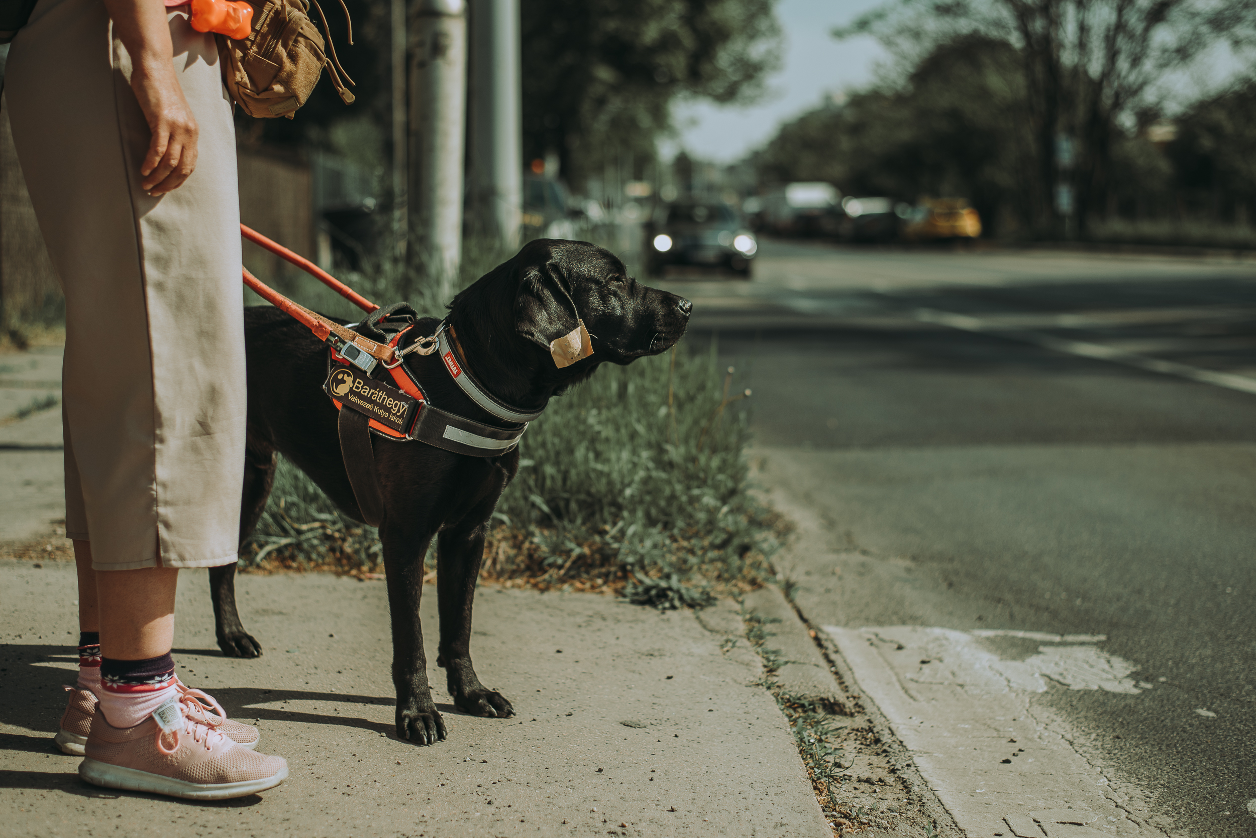 Vészhelyzetben mit tehet egy látássérült ember, és mit egy rendőr?
