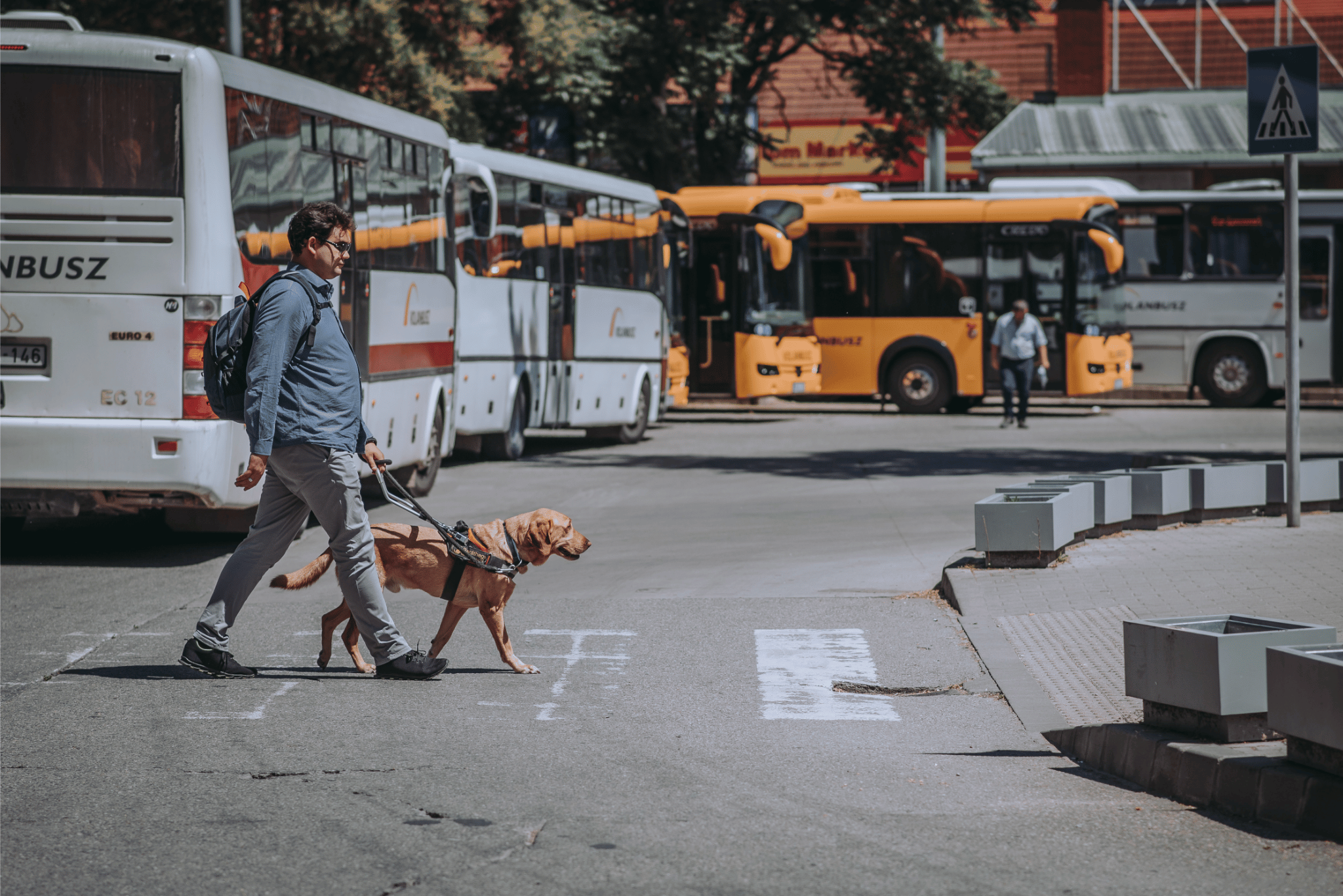 Vakvezető kutyákkal a művészetben