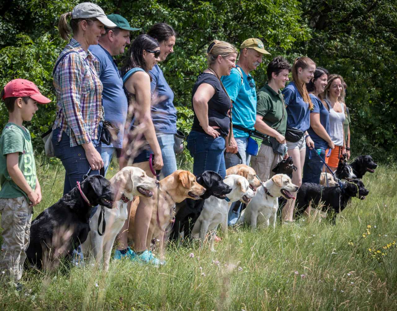 Az elengedés támogatása a kölyöknevelésben