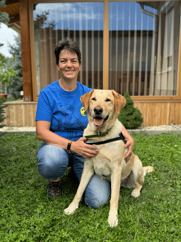 Felfedezzük a legjobb tulajdonságokat