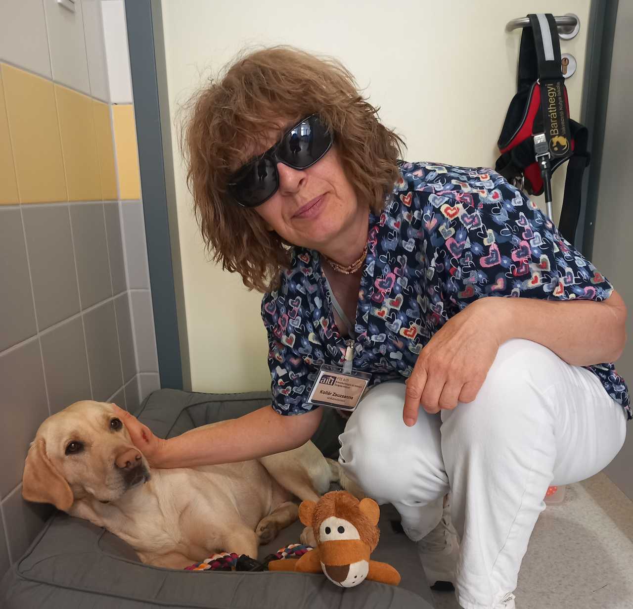 Ánizs oldja a feszültséget