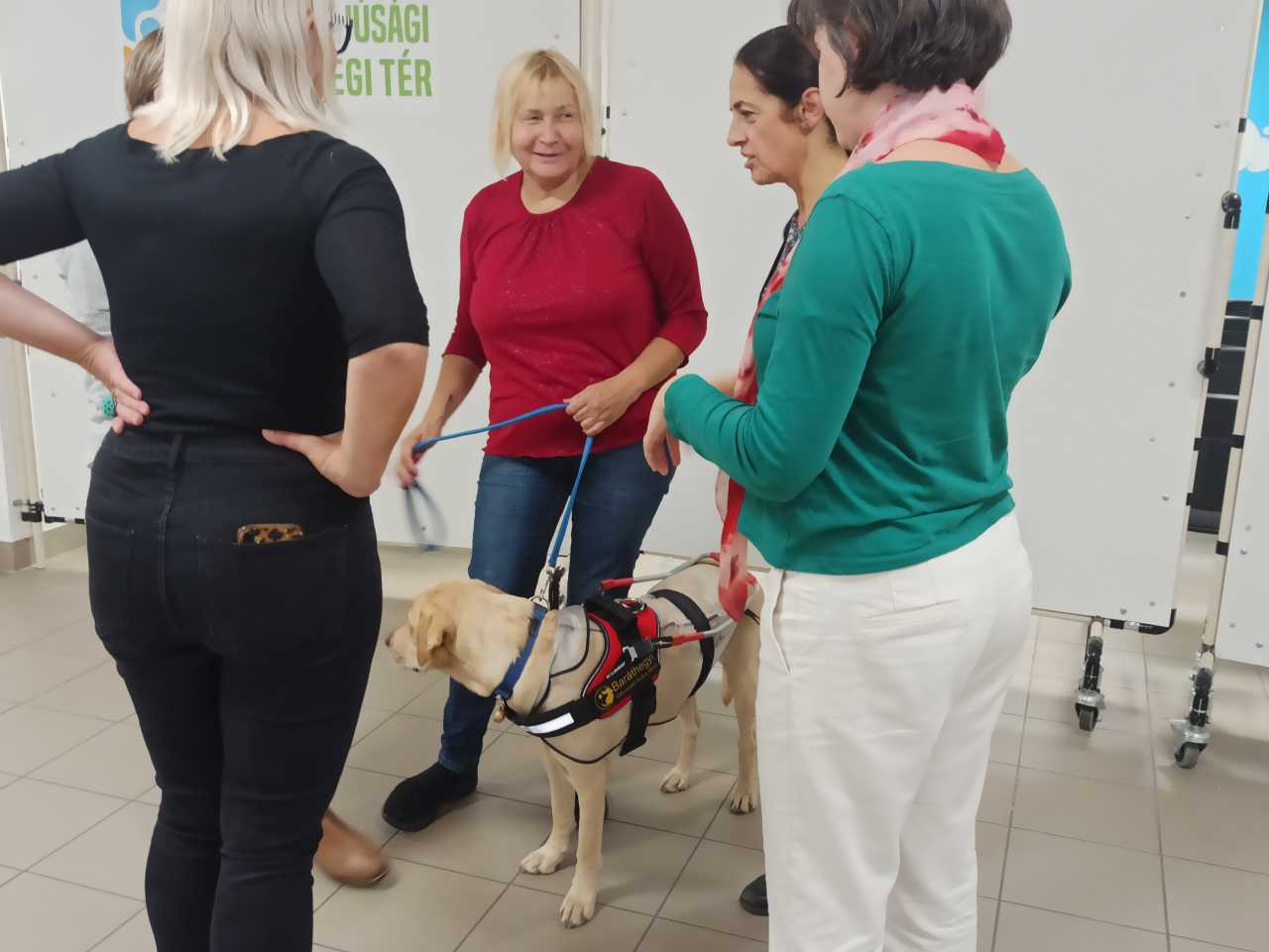 Kreatívan az egyenlőségért