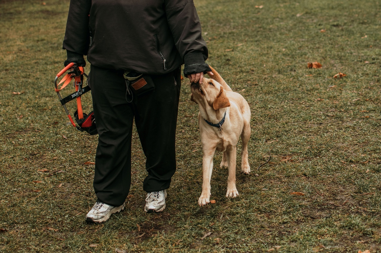 Így tanítható a behívás