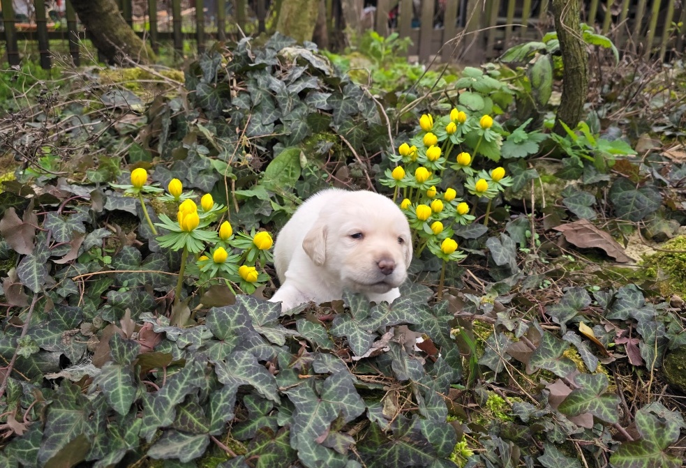 Értékes percek a kertben