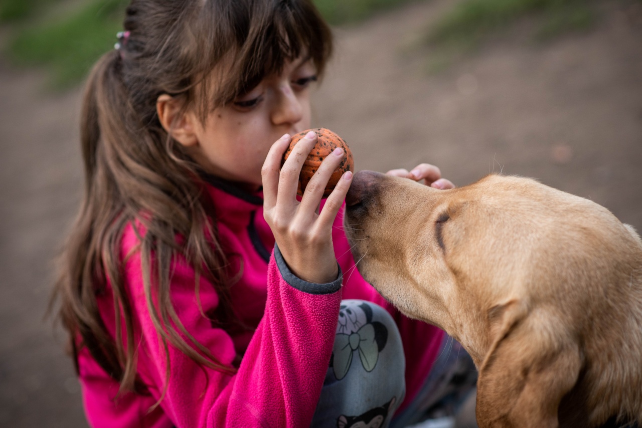 Tramini, a család megbecsült tagja