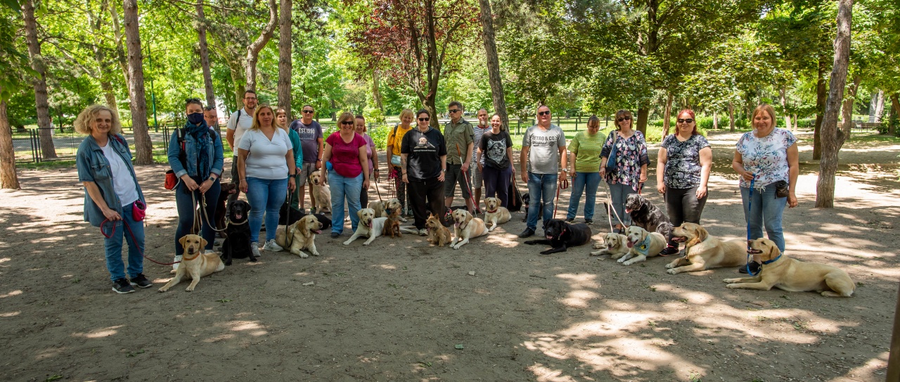 Ilyen a mi Vakvezető Kutyás Bandánk